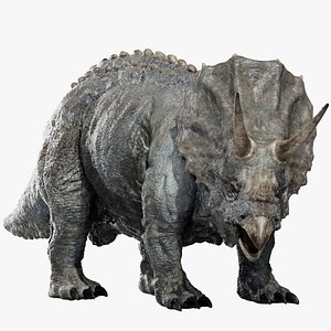 triceratops 3D 3D model