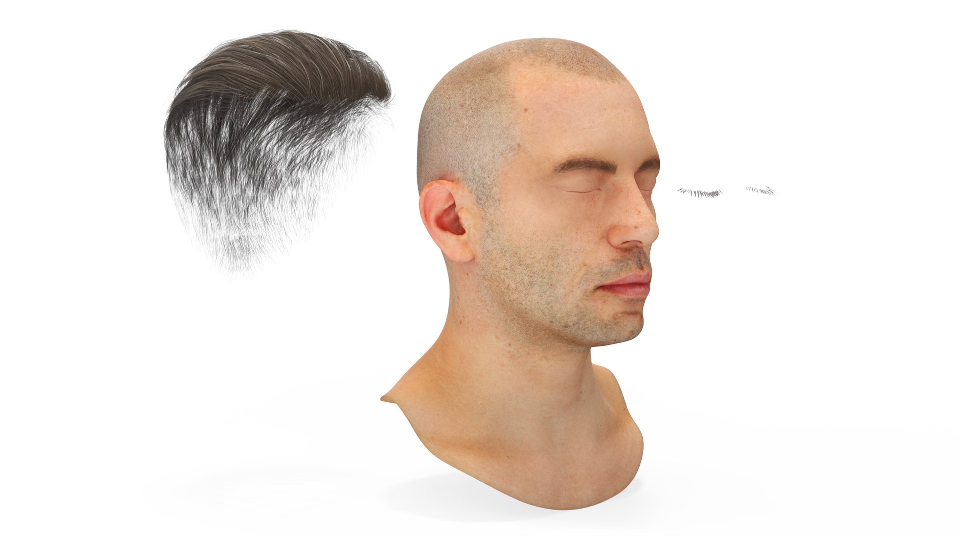 Male Realistic Anatomy Collection model https://p.turbosquid.com/ts-thumb/yC/IHvb8p/Zr/malerealisticanatomycollection3dsmodel024/jpg/1708303871/1920x1080/fit_q87/c89e29e5f5777465858369e280b935d6fcc5c29d/malerealisticanatomycollection3dsmodel024.jpg