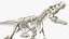 3D tyrannosaurus rex skeleton rigged