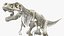 3D tyrannosaurus rex skeleton rigged