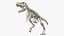 3D tyrannosaurus rex skeleton rigged
