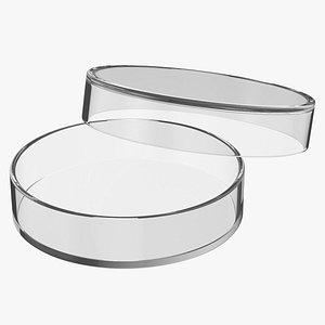 Petri Dish Medium model