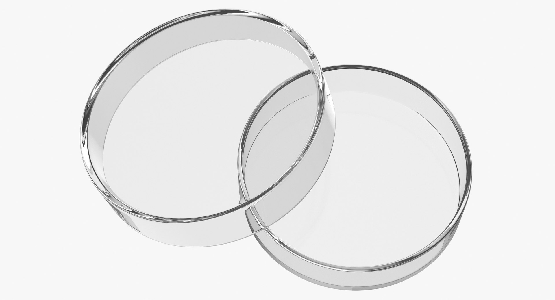 Petri Dish Medium Model TurboSquid 2002706
