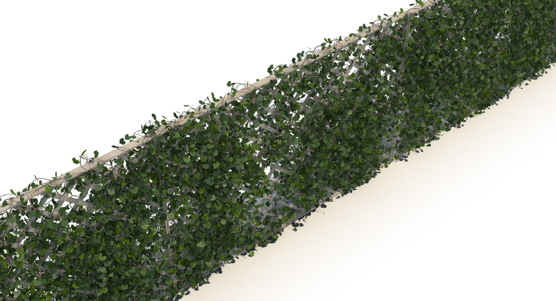 3D fences ivy https://p.turbosquid.com/ts-thumb/yC/PyGMQO/AO2m8CbA/ivy_fence_5/jpg/1496354588/1920x1080/fit_q87/51e72c6ef753601cf244922f06fa55a0a6b941fd/ivy_fence_5.jpg