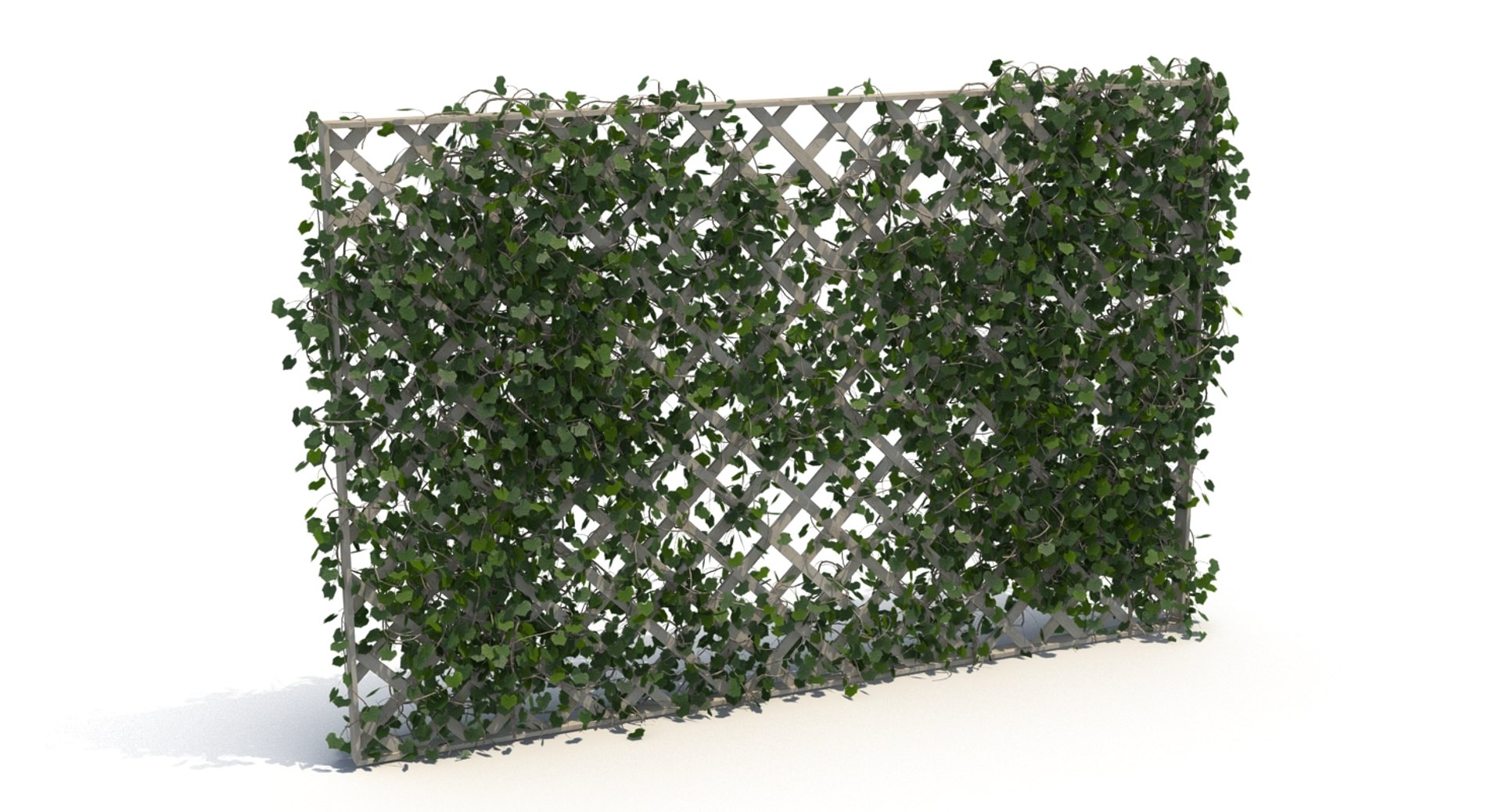 3D fences ivy https://p.turbosquid.com/ts-thumb/yC/PyGMQO/EJsWmR0U/ivy_fence_4/jpg/1496354588/1920x1080/fit_q87/83ce1d7ee1b9f47a2d6db2c1069270e269598fbf/ivy_fence_4.jpg