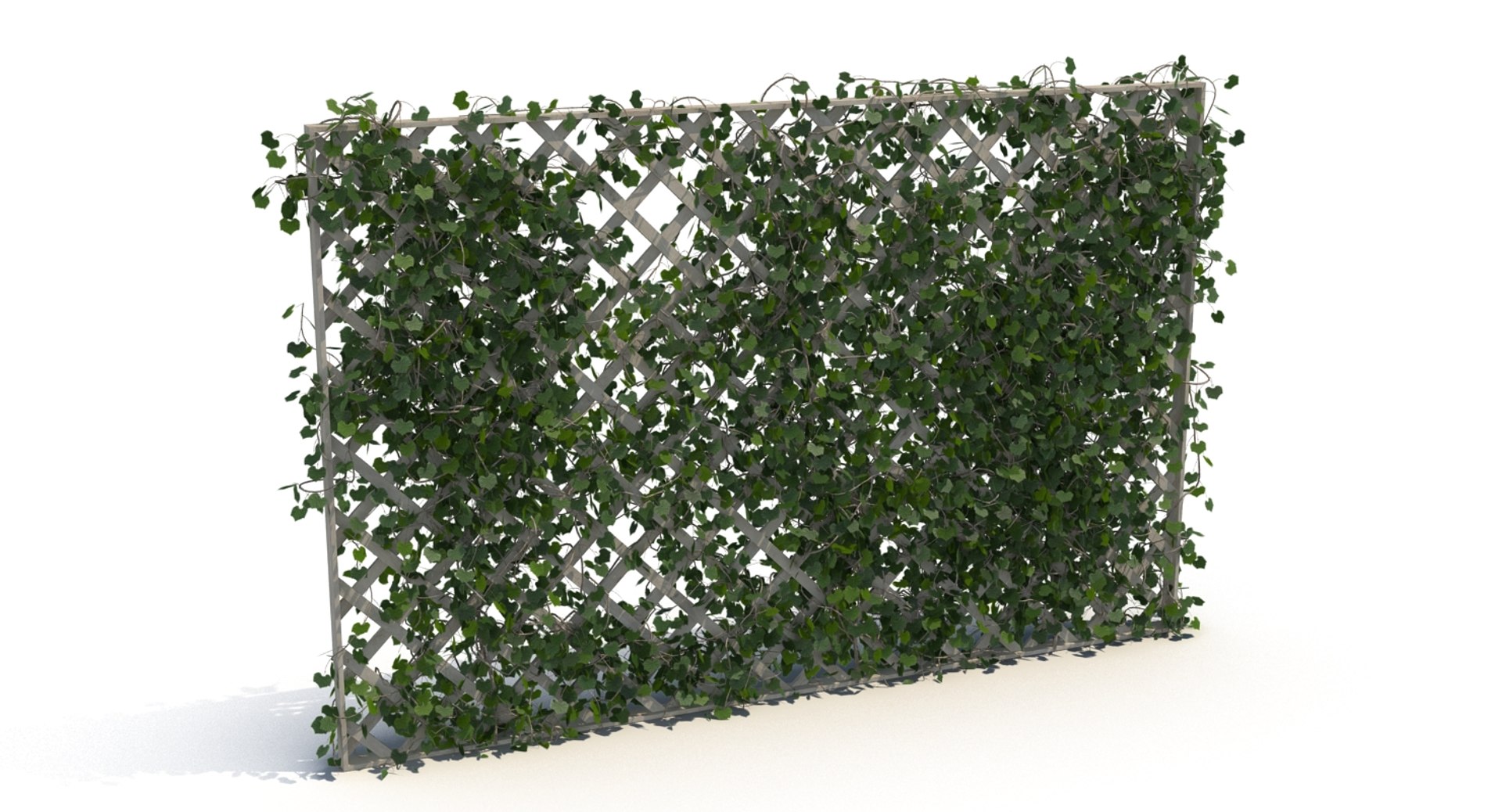 3D fences ivy https://p.turbosquid.com/ts-thumb/yC/PyGMQO/LpsESTn5/ivy_fence_2/jpg/1496354588/1920x1080/fit_q87/cbcd3ddc688dd401dbb052b7ff4cfc1334646507/ivy_fence_2.jpg