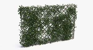 3D fences ivy
