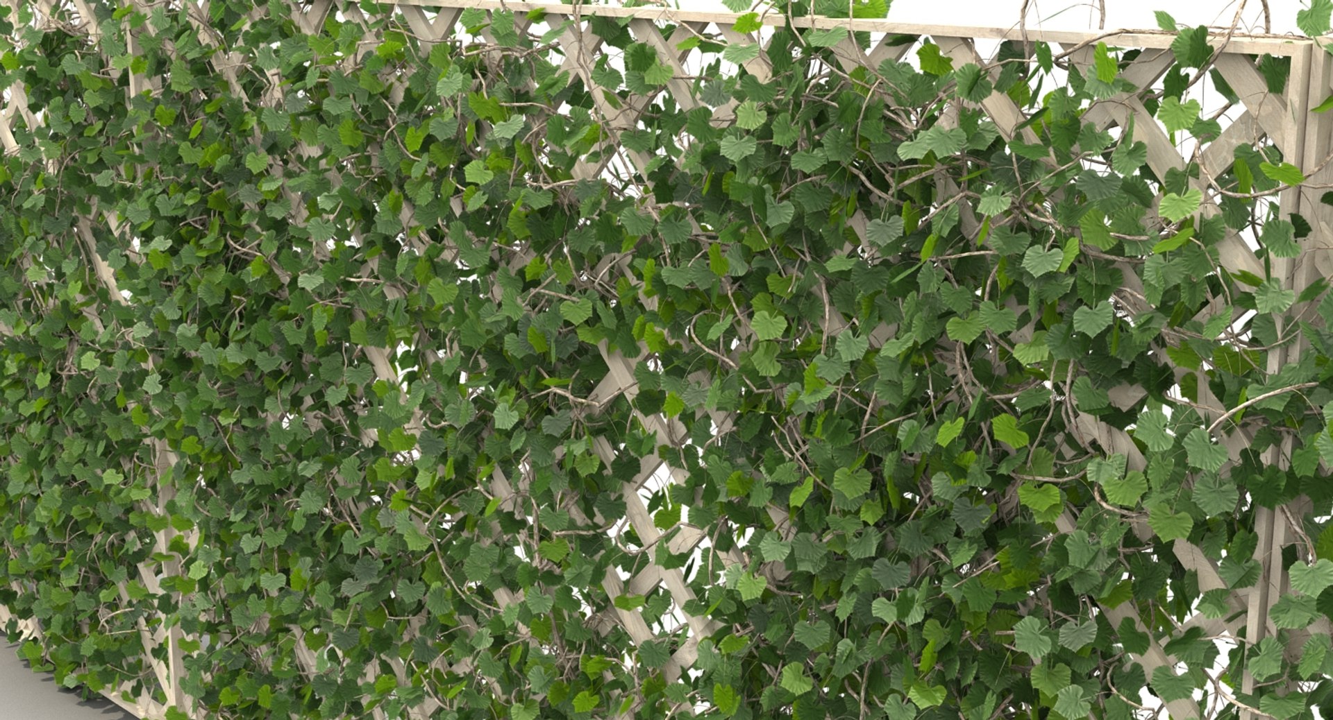 3D fences ivy https://p.turbosquid.com/ts-thumb/yC/PyGMQO/UX6mUy3f/ivy_fence_9/jpg/1496354588/1920x1080/fit_q87/06c9cc574eb8cc1e0876cf3e3e1bab6b354fe077/ivy_fence_9.jpg