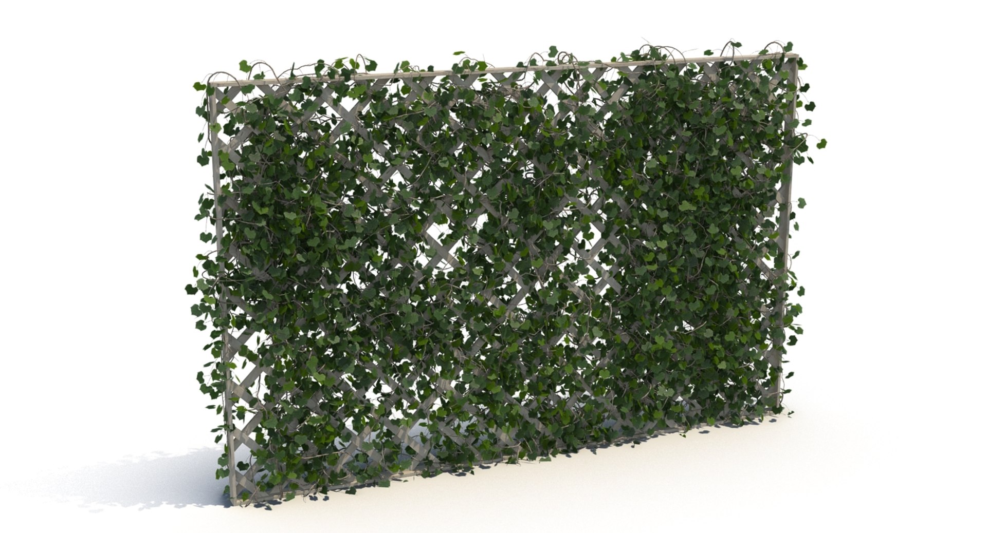 3D fences ivy https://p.turbosquid.com/ts-thumb/yC/PyGMQO/uk9jjQu1/ivy_fence_3/jpg/1496354588/1920x1080/fit_q87/13b274842223070ba5f0844220027b8232307583/ivy_fence_3.jpg