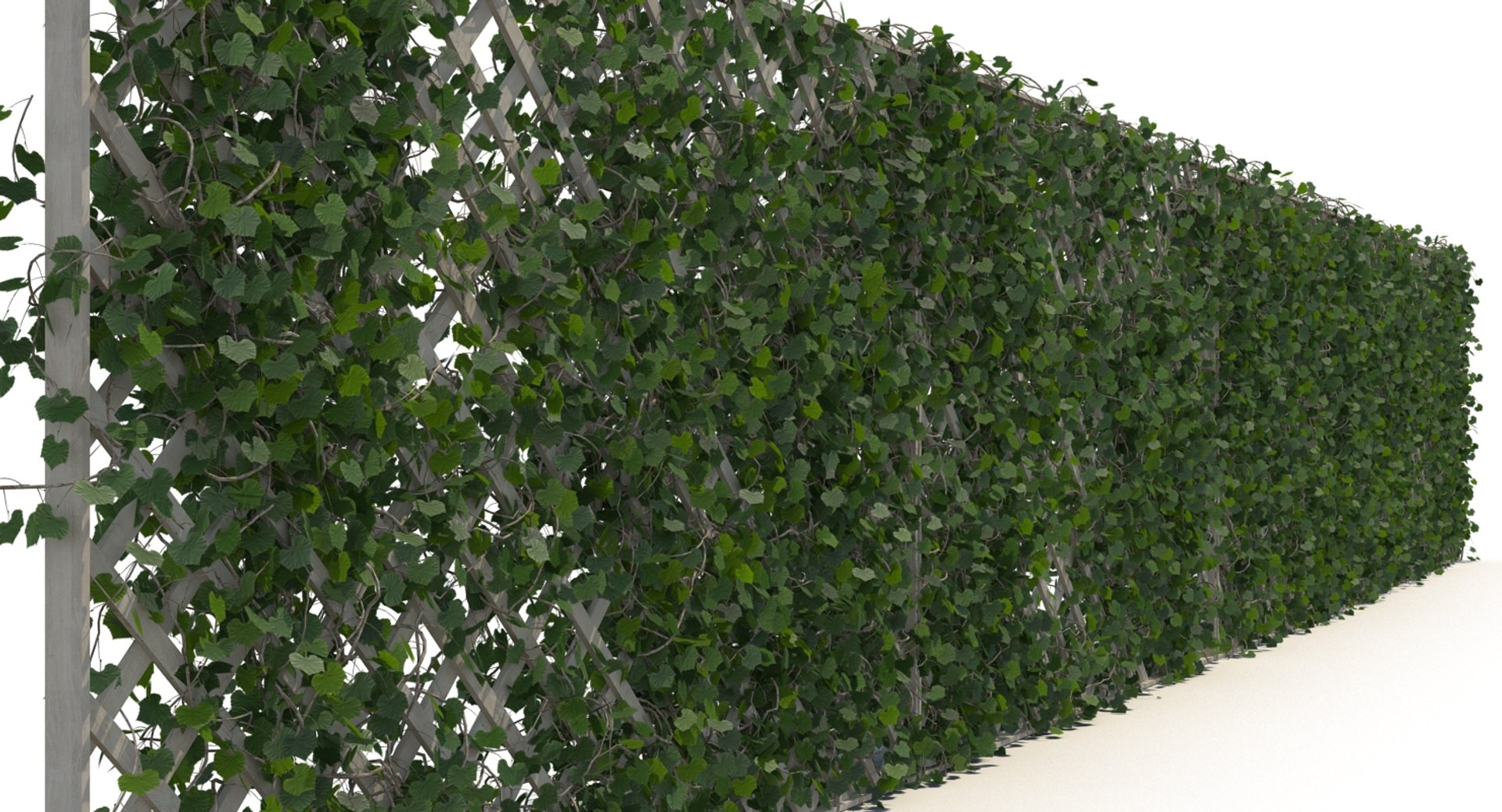 3D fences ivy https://p.turbosquid.com/ts-thumb/yC/PyGMQO/vlvf9WOL/ivy_fence_6/jpg/1496354588/1920x1080/fit_q87/75edfcd9900c5f6ddf69cb8863c89b49caa39735/ivy_fence_6.jpg