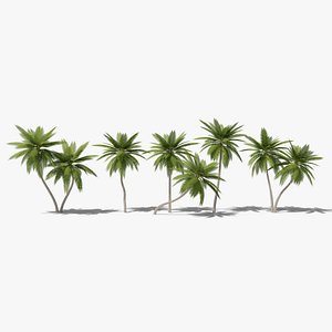 Lowpoly Date Palms Collection