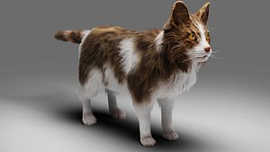 Fur Calico Cat V03 No Rigged 3D model