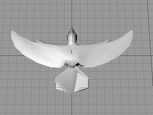 3d model of dove bird