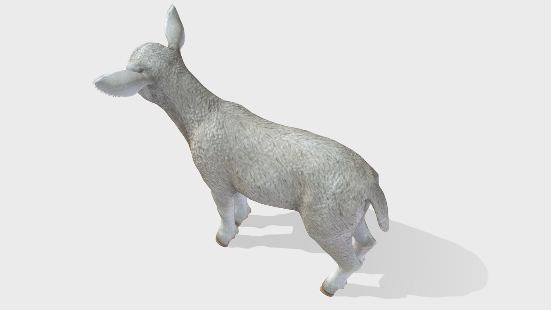 Lamb 3D https://p.turbosquid.com/ts-thumb/yD/1HBrYI/1y/5/png/1740055776/1920x1080/fit_q87/5ca6f66ef0960cb8842f7a56f1fc824c1fa19ccd/5.jpg