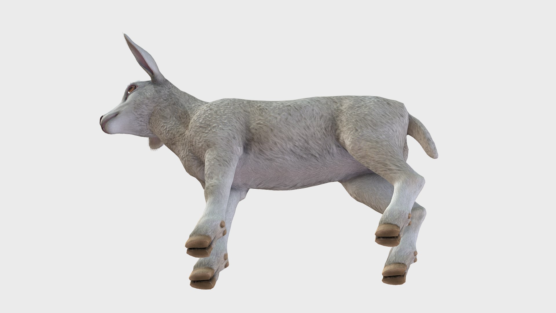 Lamb 3D https://p.turbosquid.com/ts-thumb/yD/1HBrYI/6i/6/png/1740055782/1920x1080/fit_q87/50aeb7a9ba25be75203418671227d274358d092c/6.jpg