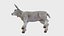 Lamb