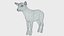 Lamb