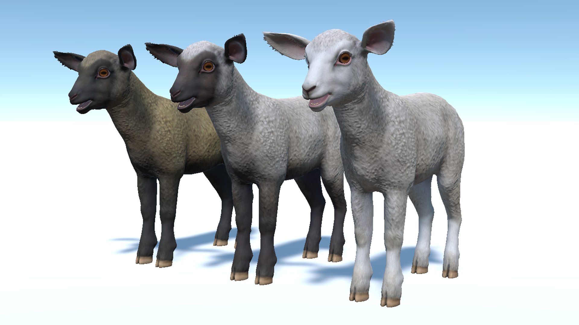 Lamb 3D https://p.turbosquid.com/ts-thumb/yD/1HBrYI/YA/7/png/1740055785/1920x1080/fit_q87/a028974ecbf057ac52fd1336af0ab2be8693f20c/7.jpg
