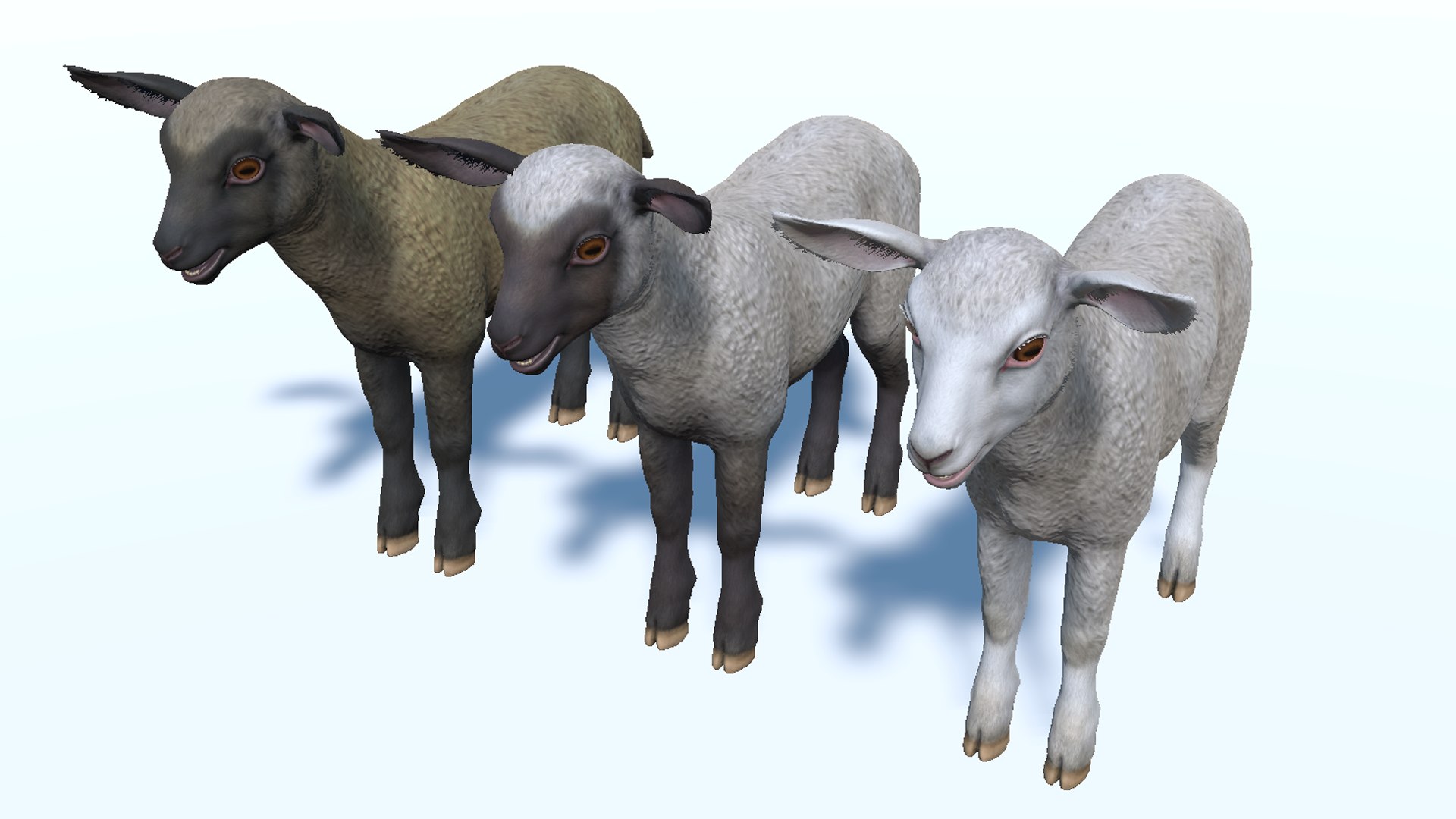 Lamb 3D https://p.turbosquid.com/ts-thumb/yD/1HBrYI/Z7/10/png/1740055798/1920x1080/fit_q87/801efd2dbdcca37279cca7ca1acd007df3617cbf/10.jpg