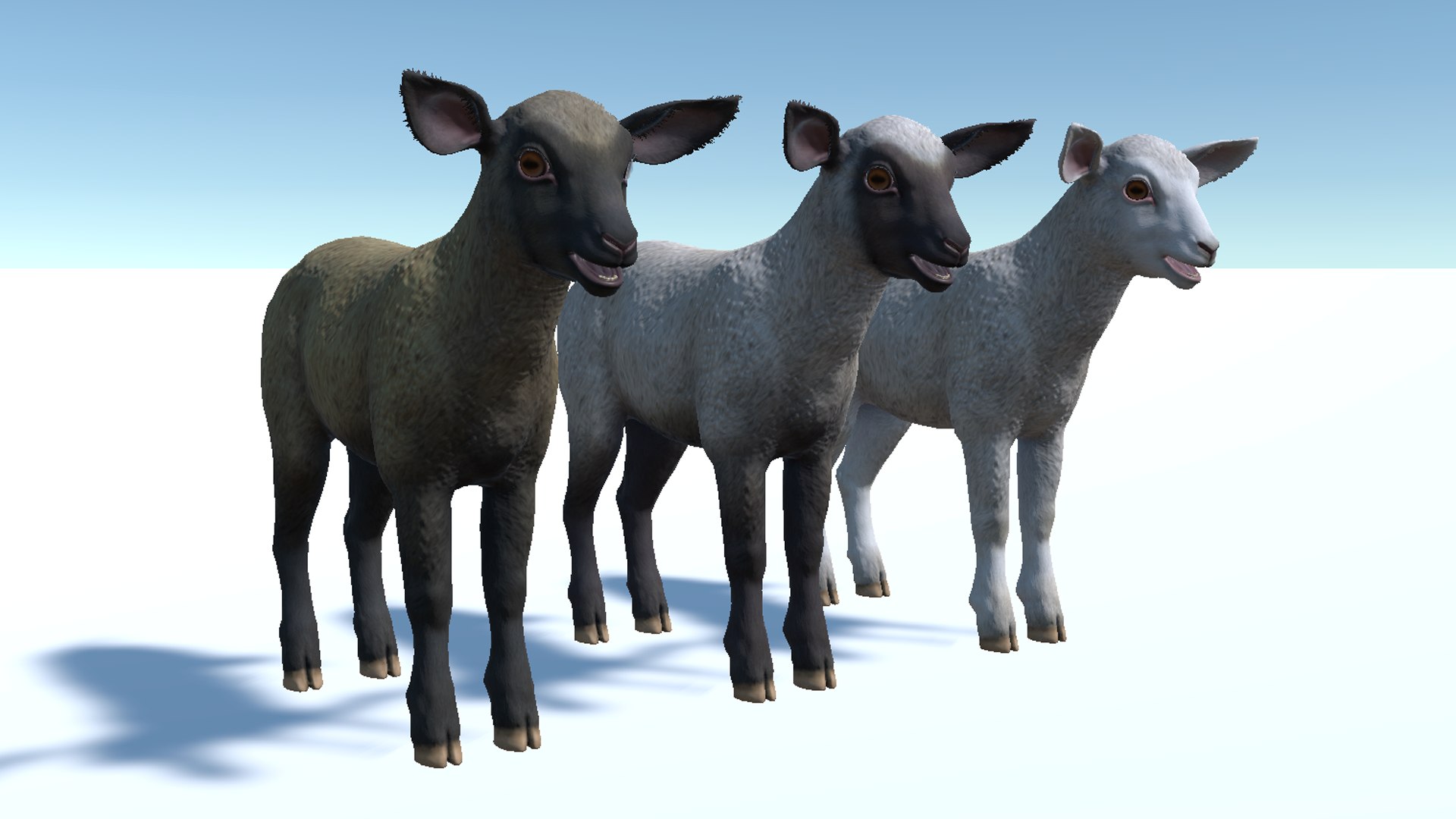 Lamb 3D https://p.turbosquid.com/ts-thumb/yD/1HBrYI/bg/9/png/1740055795/1920x1080/fit_q87/669cb12a19cba673ed296ca4f9b7d67749d8a82c/9.jpg