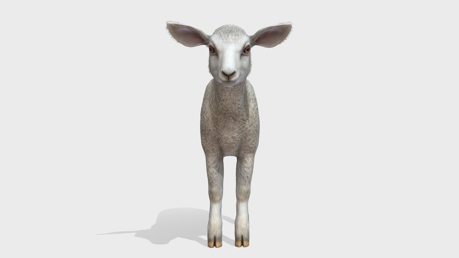 Lamb 3D https://p.turbosquid.com/ts-thumb/yD/1HBrYI/f1/3/png/1740055769/1920x1080/fit_q87/f9780e142aea6ef8d5139049fa84caaa383a2283/3.jpg