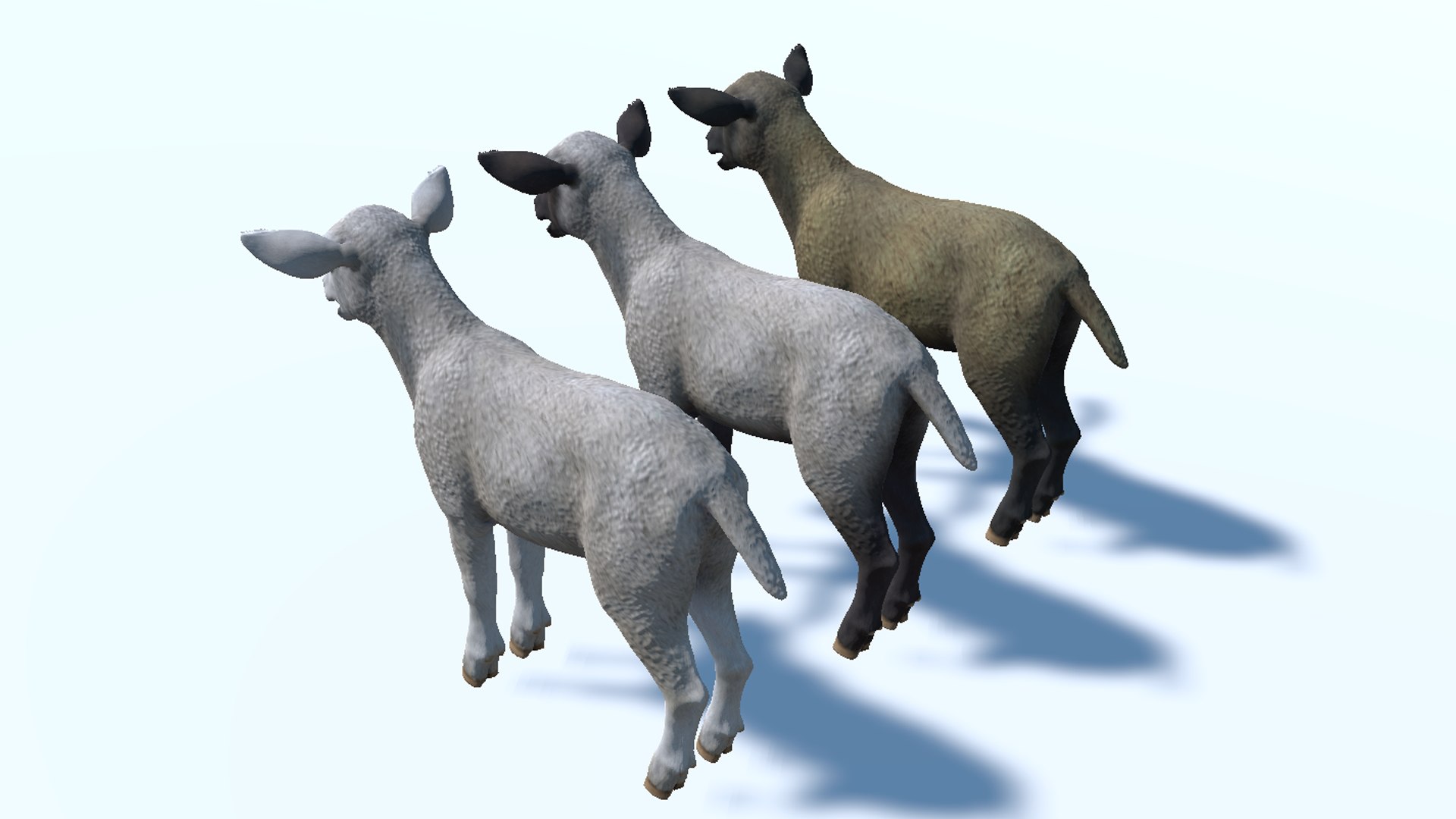Lamb 3D https://p.turbosquid.com/ts-thumb/yD/1HBrYI/kO/12/png/1740055805/1920x1080/fit_q87/62cab0e42d9315bd669f79bdf0247d2fa519d9e4/12.jpg