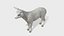 Lamb