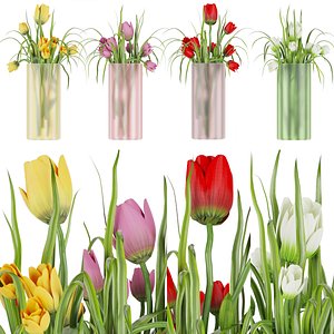 Collection plant vol 44 3D model