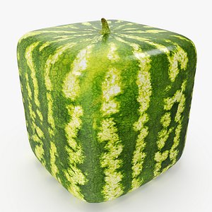 Watermelon square PBR