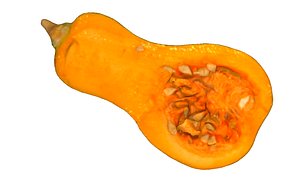 Half Gourd