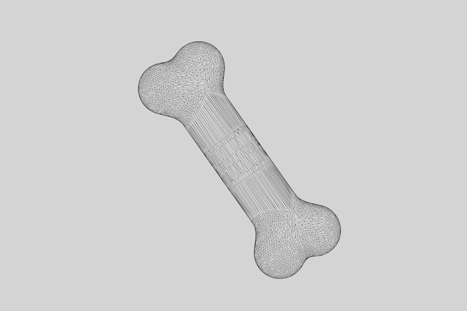 Bone 3d Model 3D Model - TurboSquid 2459487
