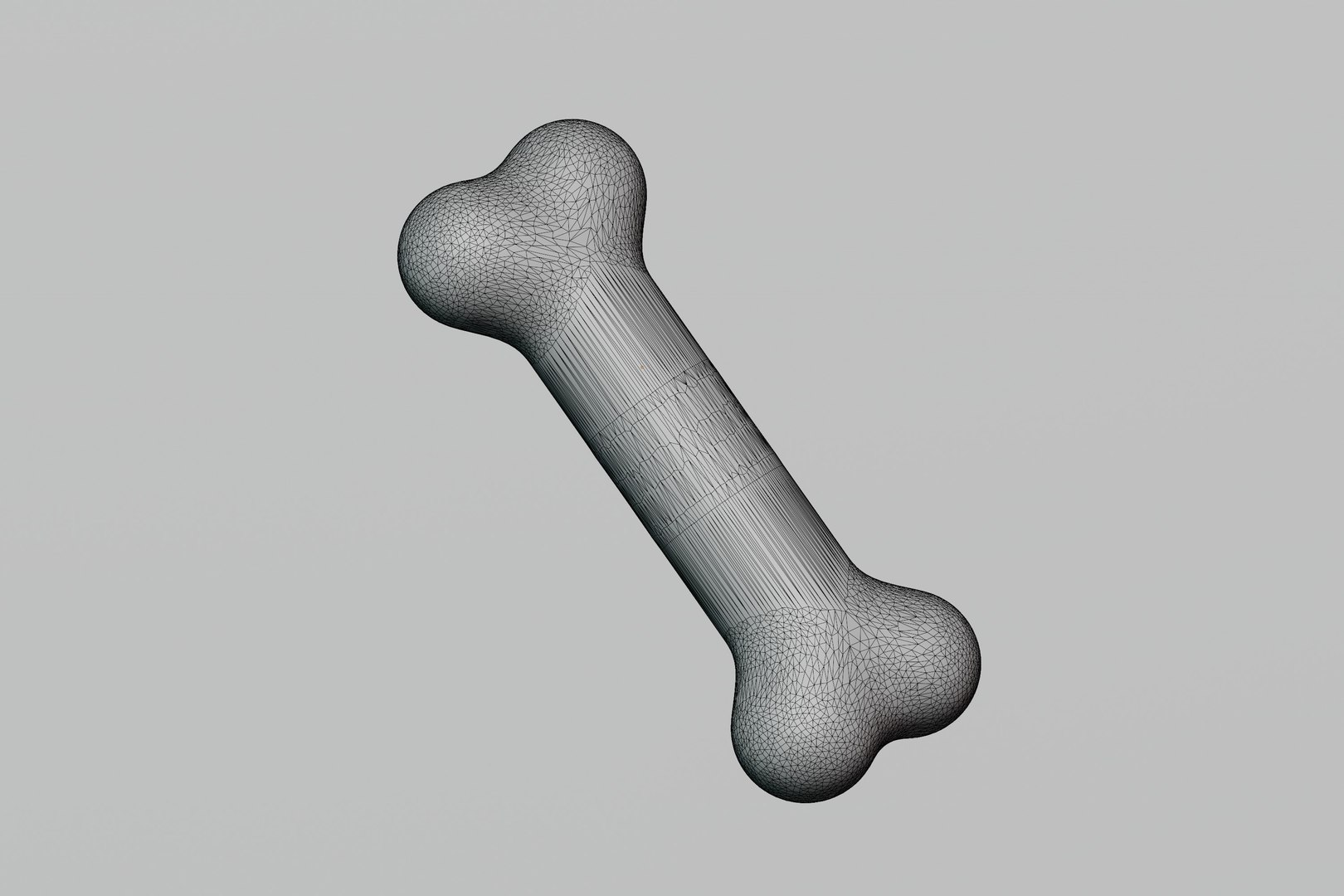 Bone 3d Model 3D Model - TurboSquid 2459487
