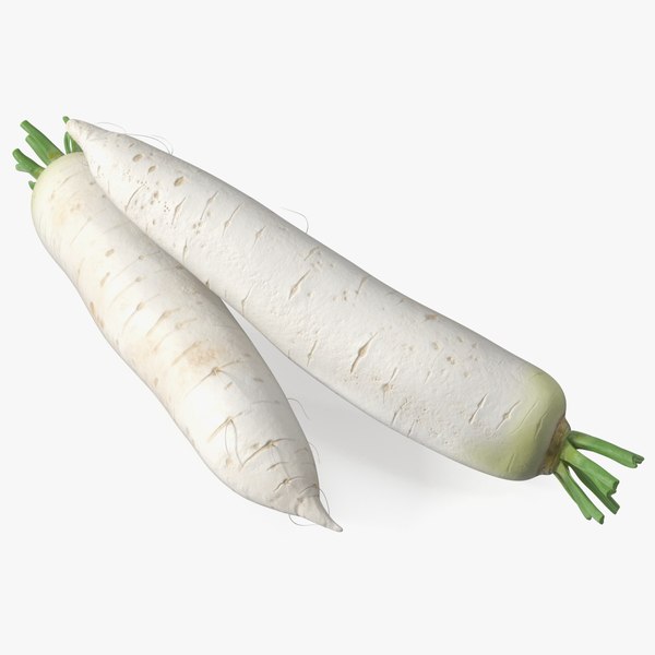 3D Daikon Long White Radish