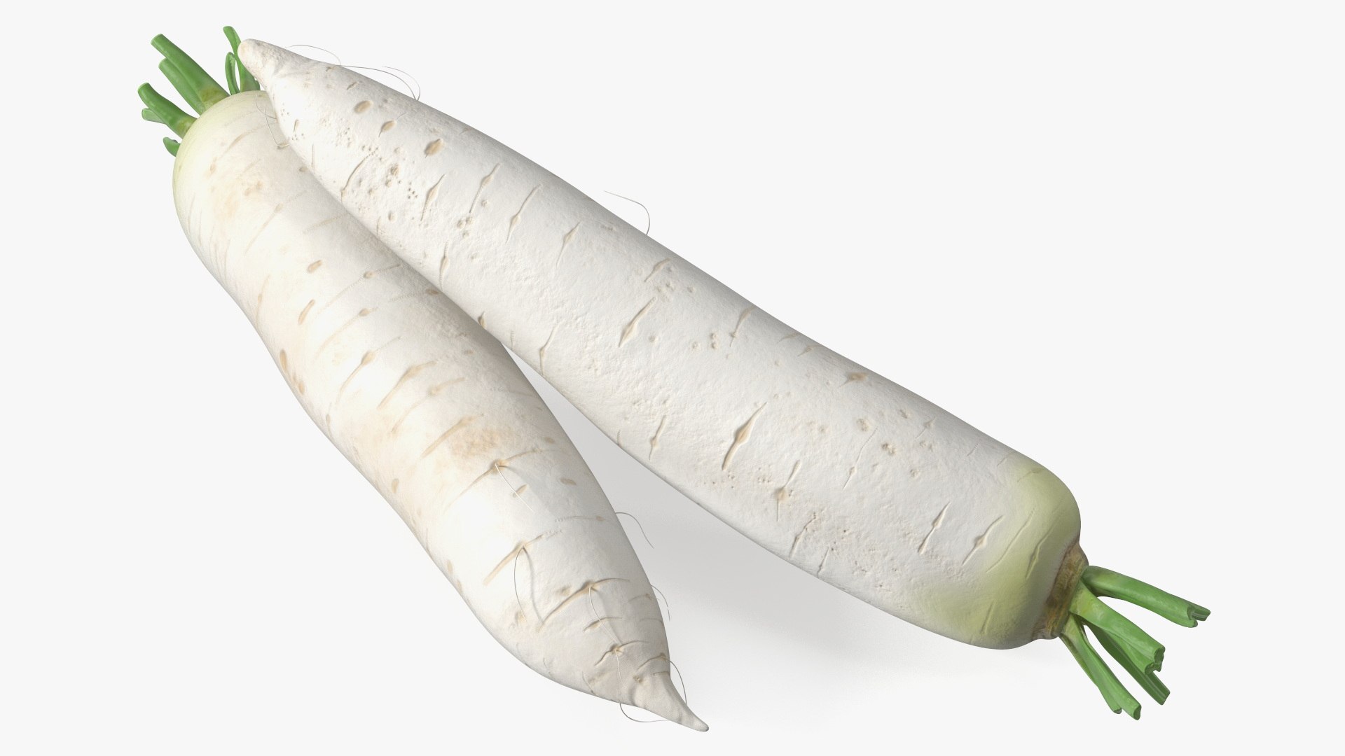 3d Daikon Long White Radish Turbosquid 2086628