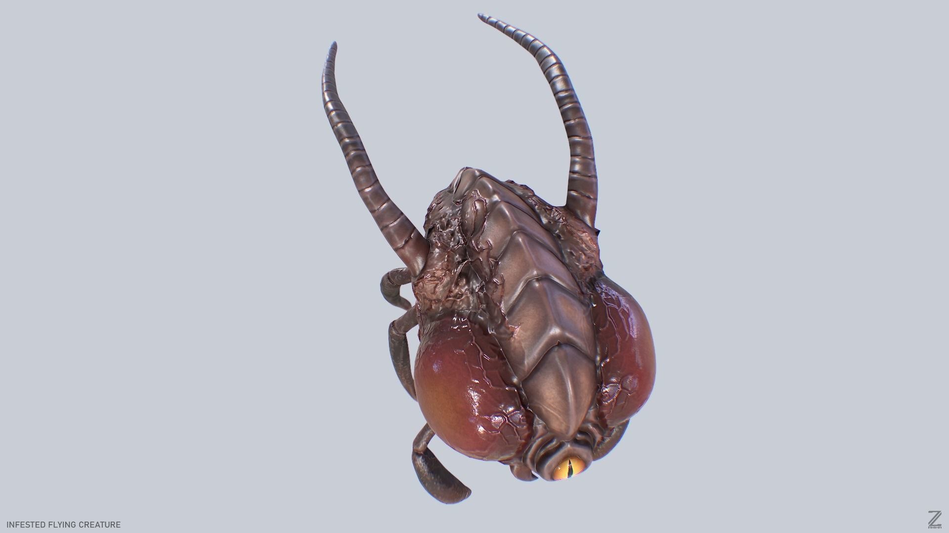 Infested Flying Creature 3D Model - TurboSquid 2407201