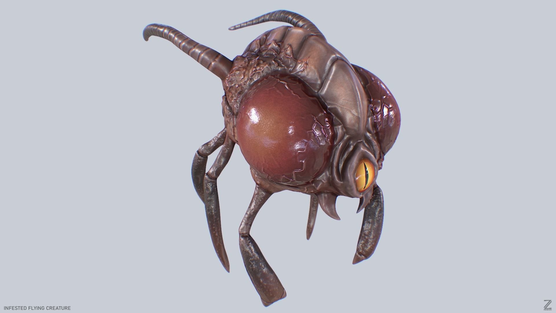 Infested Flying Creature 3D Model - TurboSquid 2407201