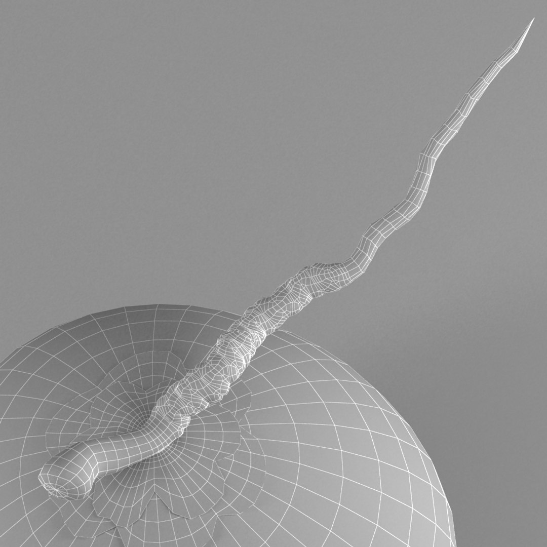 3ds max coconut nut coco https://p.turbosquid.com/ts-thumb/yD/iSNx5R/xStd2fzn/03/jpg/1432776065/1920x1080/fit_q87/cde0085c23178966026d909f50a28d2f2855e779/03.jpg
