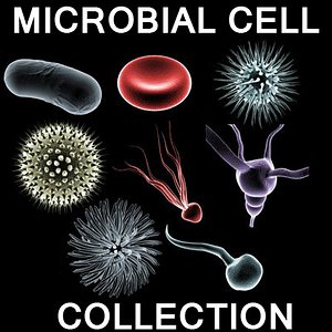 microscopic cells 3d model