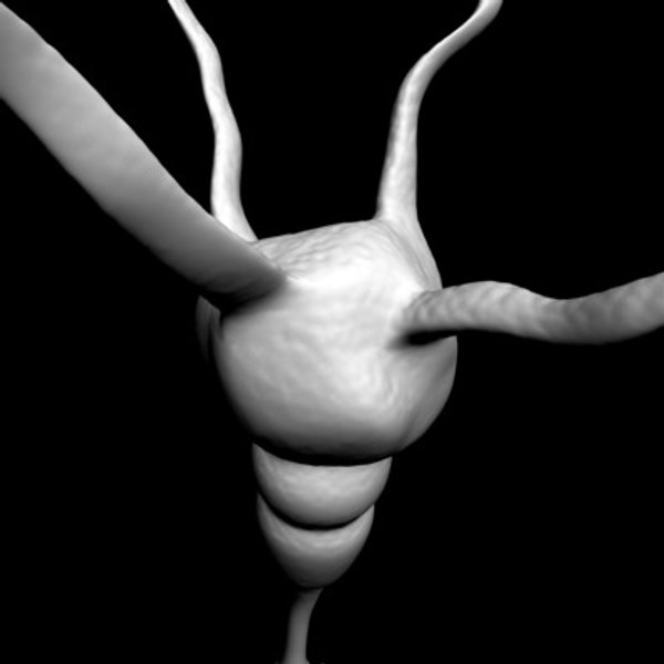 modelo 3d Micro Cell Collection v1 - TurboSquid 250487