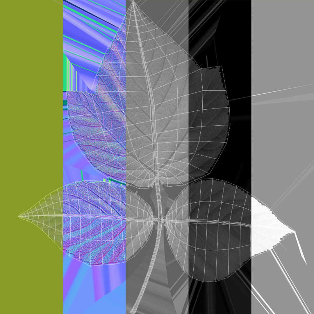 Raspberries - 3 Variations 3D Model - TurboSquid 2244990