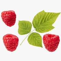 Raspberries - 3 Variations