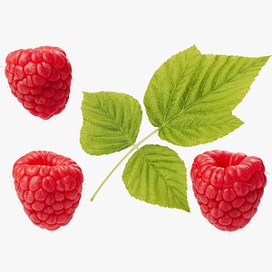 Raspberries - 3 Variations