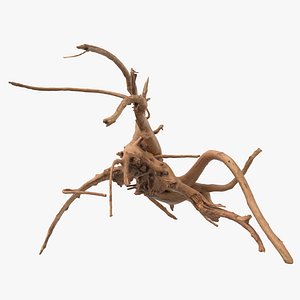 3D tree root
