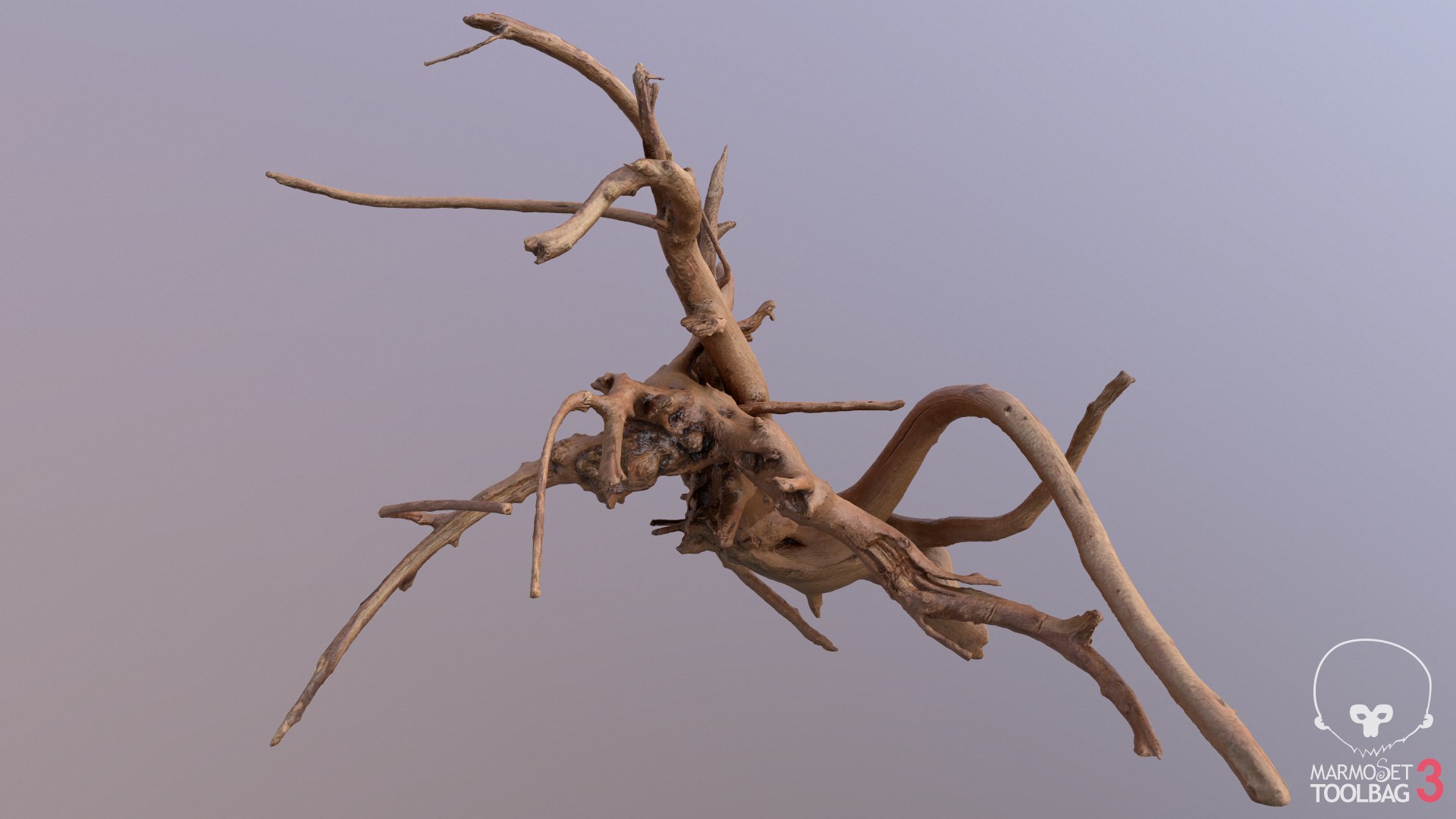 3D Tree Root - TurboSquid 1695164