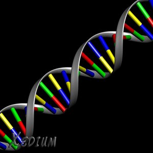 DNA.max