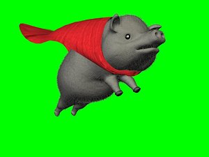 3d model pigs fly