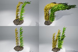 kelp brown pbr 3D