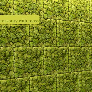 Fytowall Stone and moss