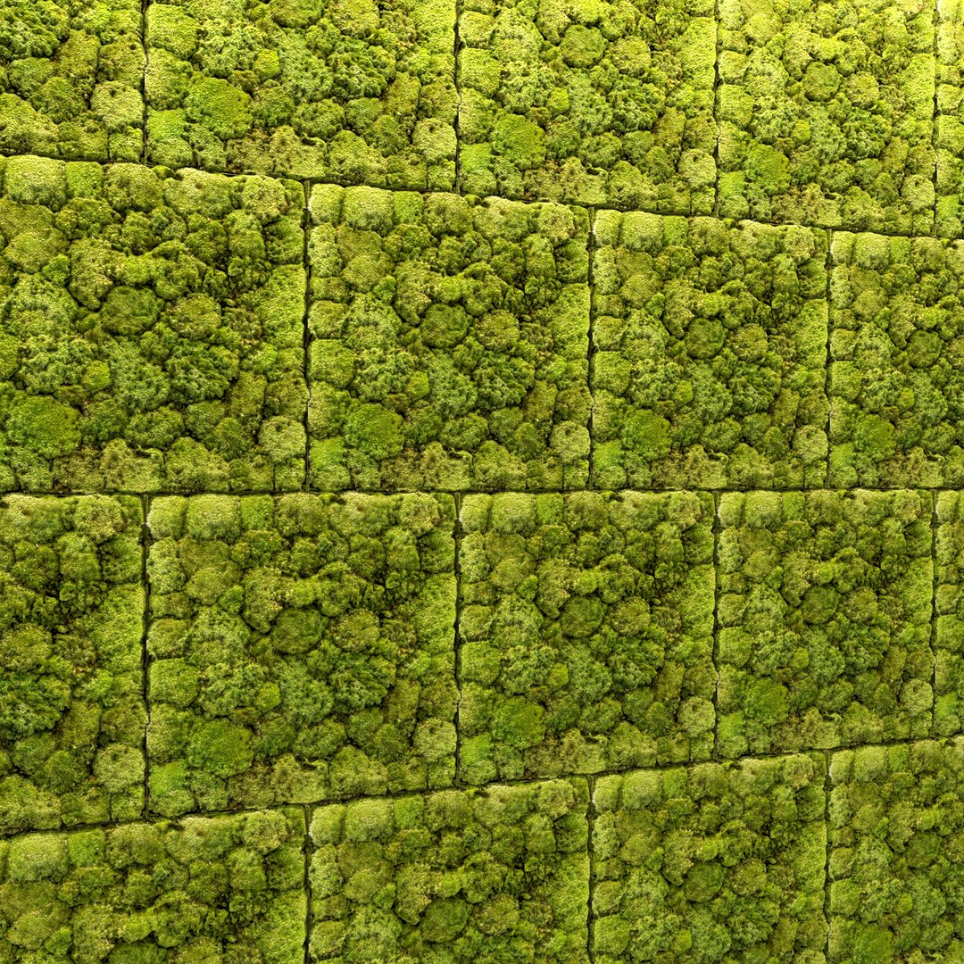 max fytowall stone moss