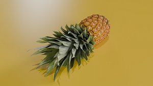 3D model Realistic Pineapple 3d Model
